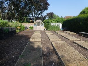 Allotments- click for photo gallery